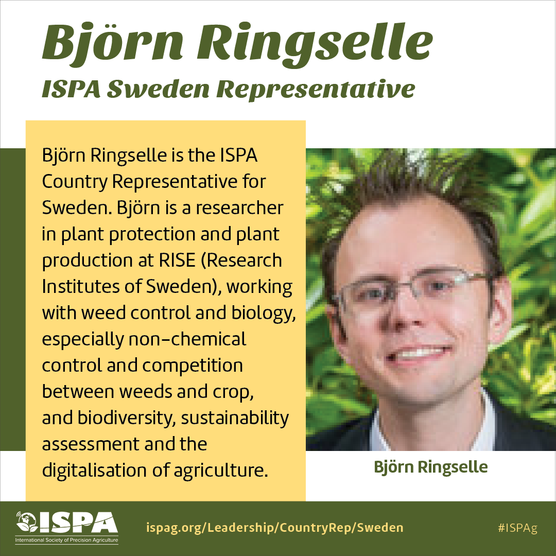 Bjorn Ringselle