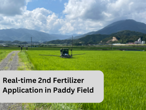 Real Rime 2nd Fertilizer Application